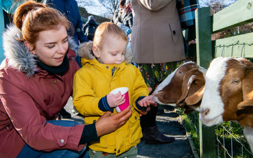 mom and son at gorgie city farm, feeding some goats