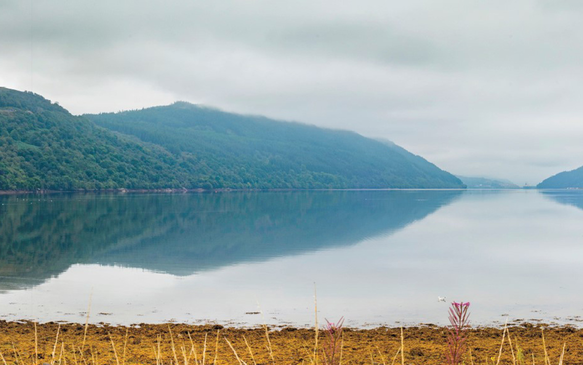 “Missed opportunity” for Loch Long Salmon to transform Scottish aquaculture sector